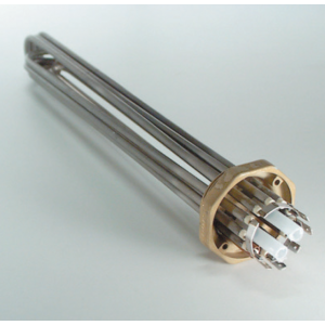 Immersion heater to Biomax
